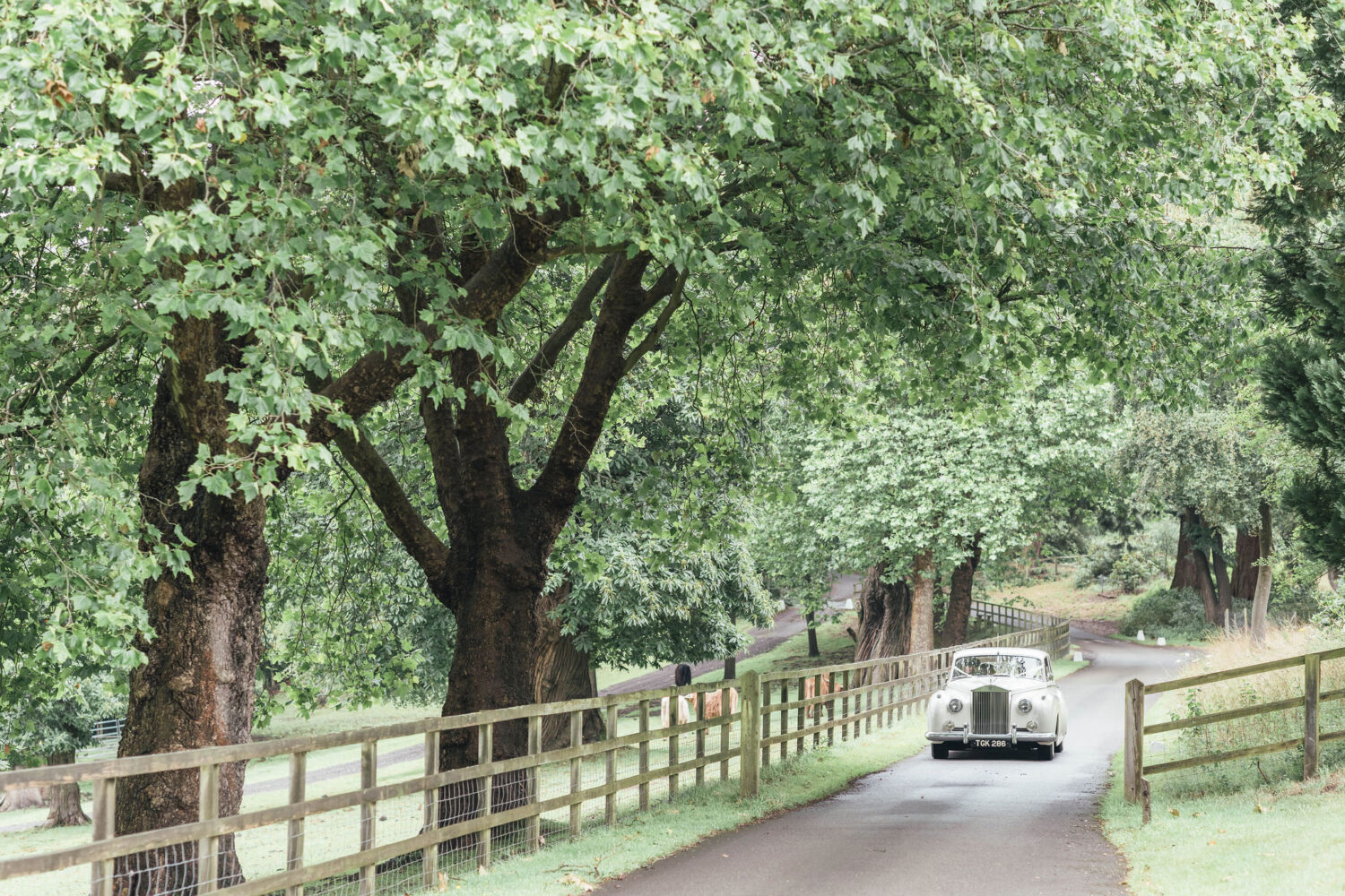 Hedsor House Summer Wedding